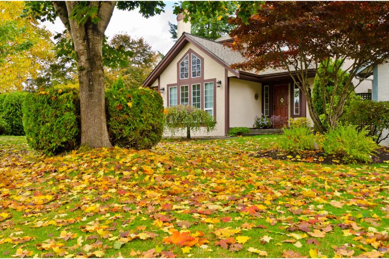 A suburban house with large windows, surrounded by trees with autumn foliage. Fallen yellow, orange, and brown leaves cover the green lawn, creating a colorful, seasonal scene.